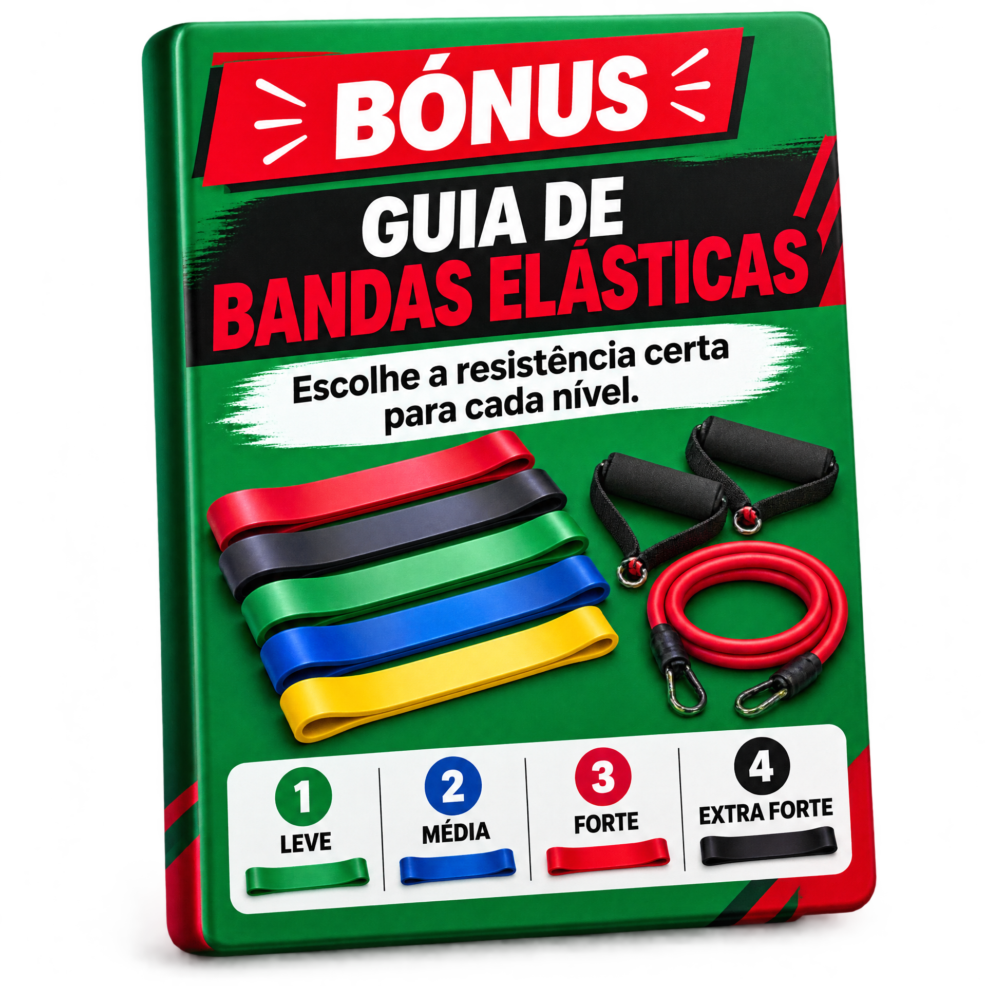 Bónus 4: Guia de Bandas Elásticas